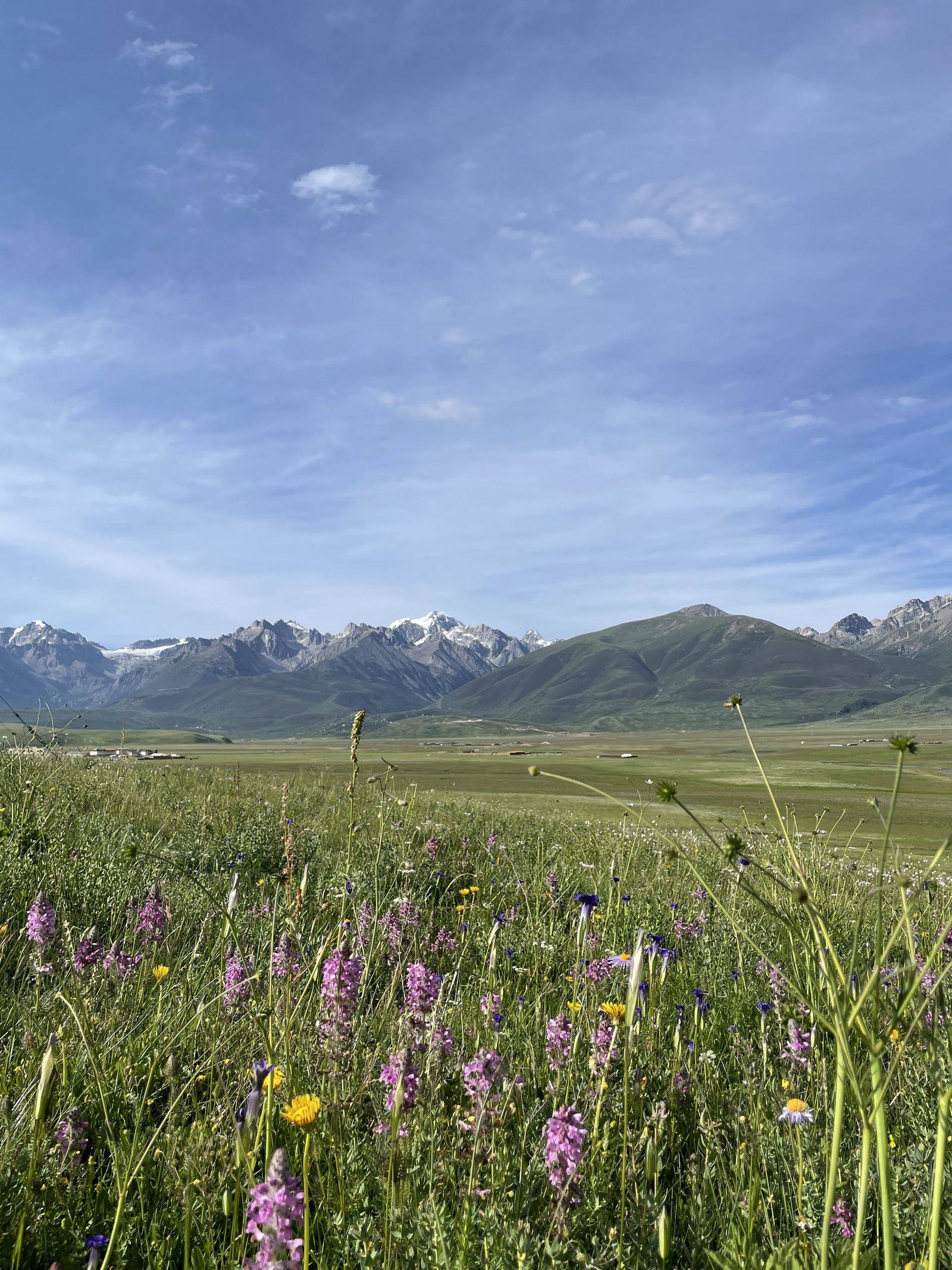 High grassland on the way into Yushu