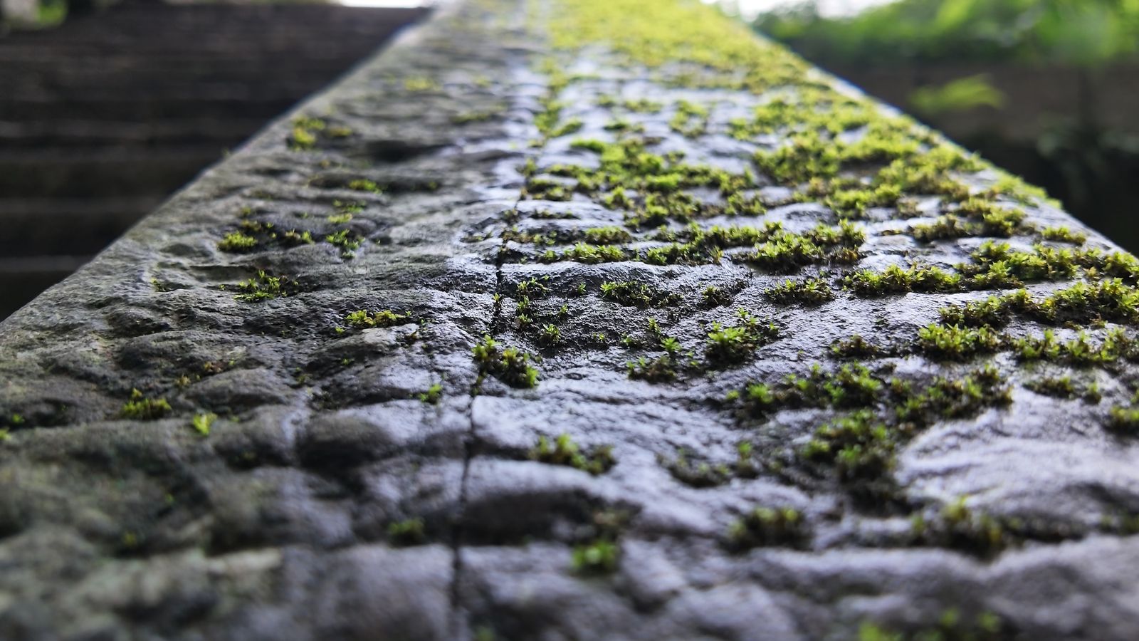 Mani stones at Yunfeng Temple, carved deep and green with moss